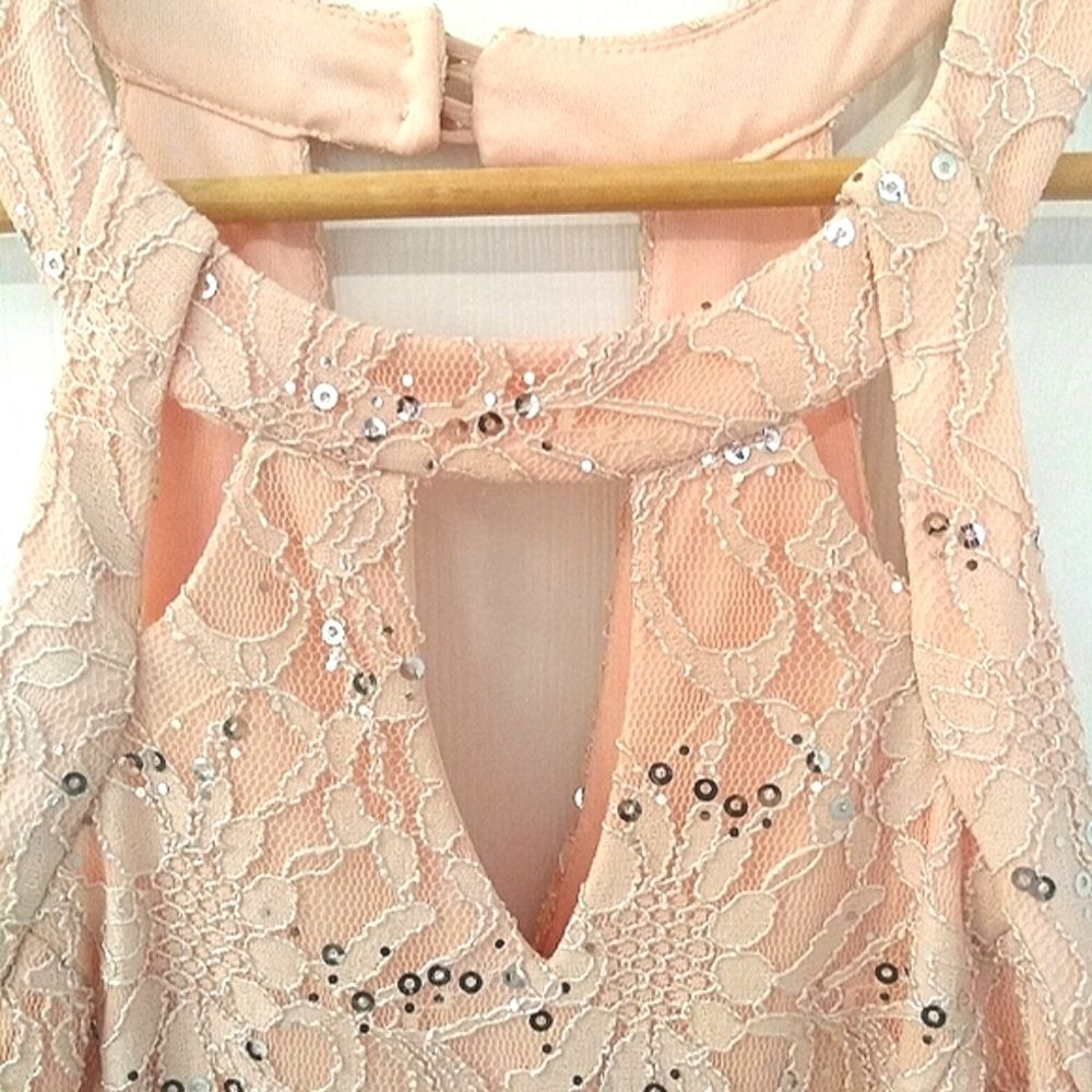 NWT Blush Pink Lace Sparkle Cutout Prom Dress Gown Size 11 - Picture 3 of 10